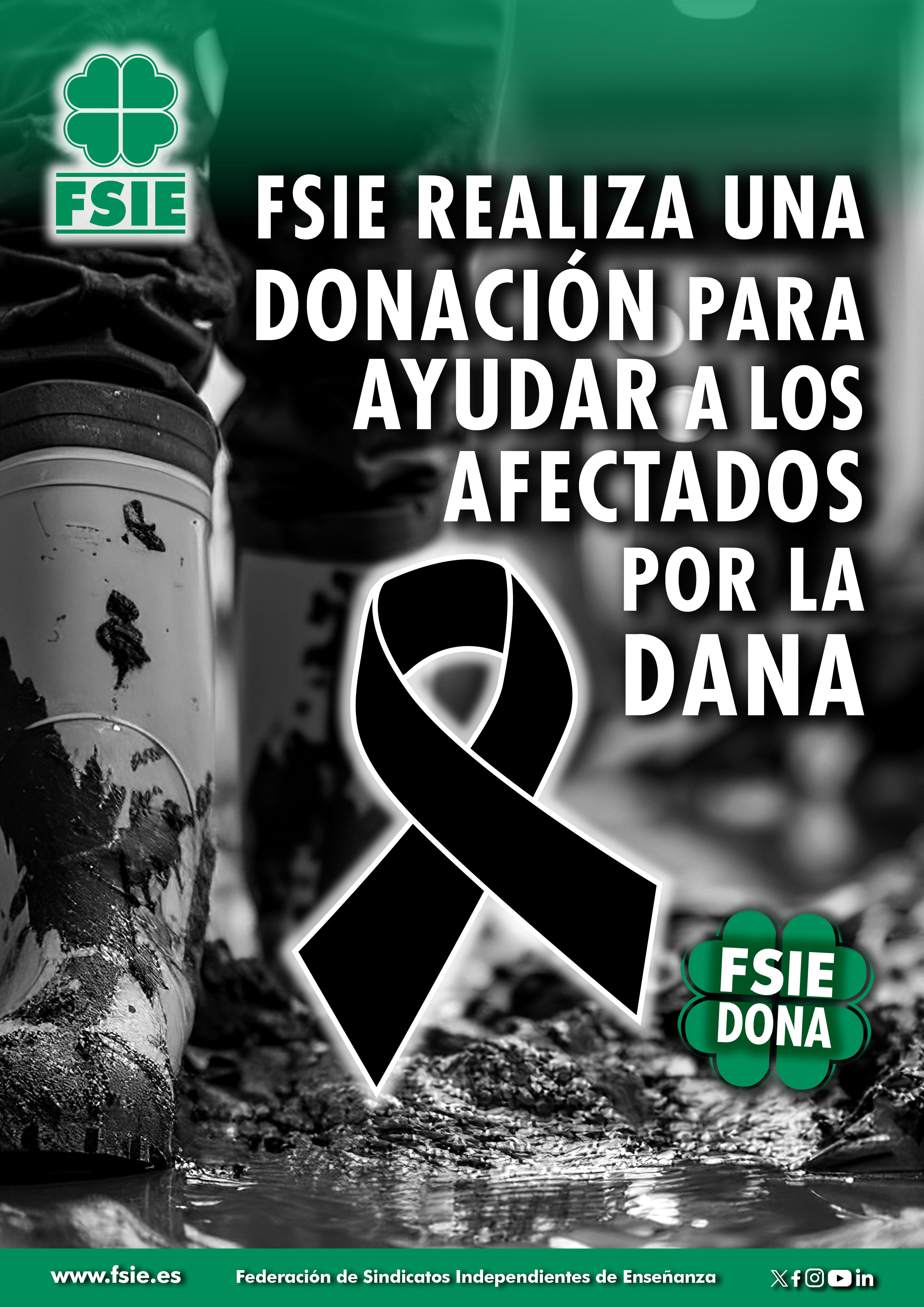 Cartel Donación FSIE Dana Valencia ok